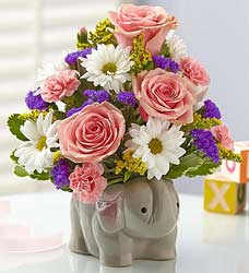 New Baby Girl Elephant Bouquet Flower Power, Florist Davenport FL
